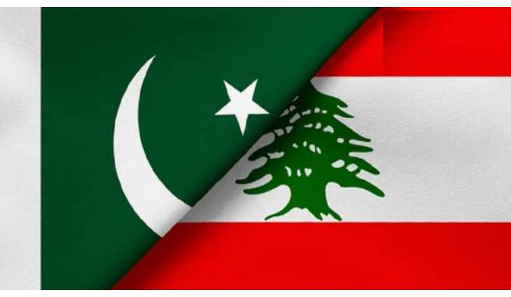 سفیر باکستان لدی بیروت یجتمع مع نائب رئیس مجلس النواب اللبناني