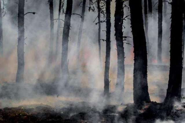 KP government will compensate the victims of the wildfire in Shangla