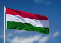Hungary Declares State of Energy Emergency, Bans Energy, Firewood Exports - Government