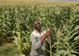 Norway's Yara Pledges $20Mln Worth of Fertilizer to Help 100,000 African Farmers - USAID