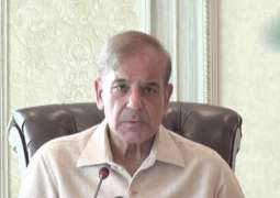 PM Shehbaz urges ECP to announce verdict in foreign funding case