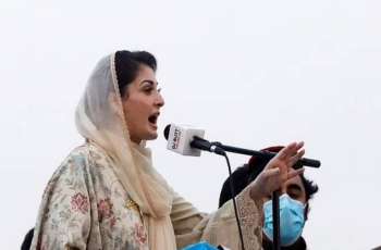 PML-N releases Maryam Nawaz'a schedule for campaign for upcoming by-polls