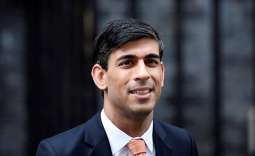 Ex-UK Treasury Secretary Rishi Sunak Says Will Run for New Tory Leader, Prime Minister