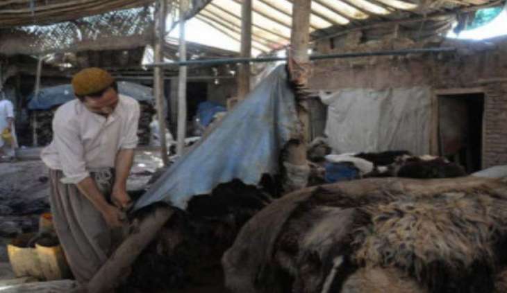 Govt makes animals' hides collection conditional with permission of Commissioner