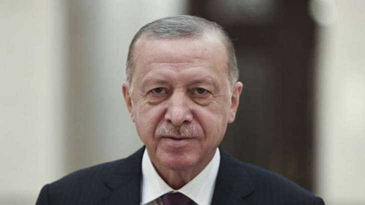 Turkey May Impede Finland's, Sweden's Accession to NATO - Erdogan