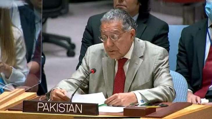 Pakistan asks UN to keep focus on children's plight in IIOJK

 