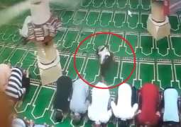 فیدیو : لص یسرق ھائف أحد المصلین داخل مسجد فی مصر