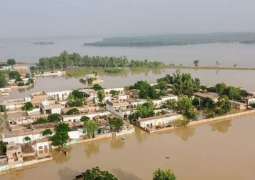 Monsoon rains, floods claim 1,033 deaths across Pakistan