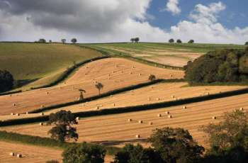 UK Relaxes Farming Rules as Dry Weather Continues