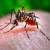 DC inspects anti-dengue measures