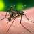 Anti dengue week to be observed