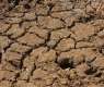 Drought in Romania Damages 870,000 Acres of Farmland - Agriculture Ministry