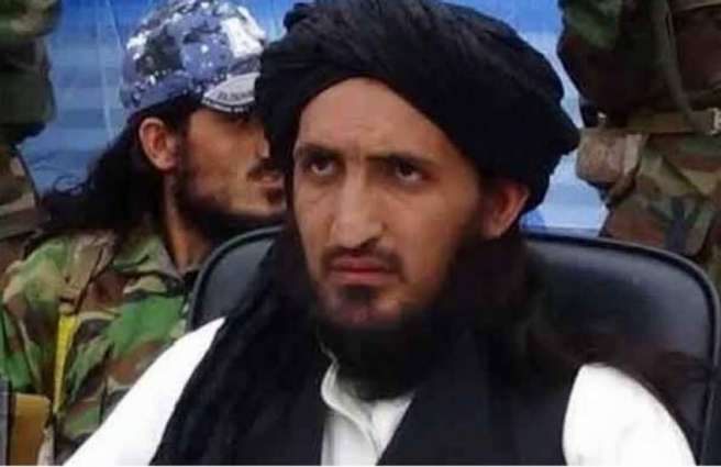 TTP Top Commander Omar Khalid Khorasani killed in Afghanistan