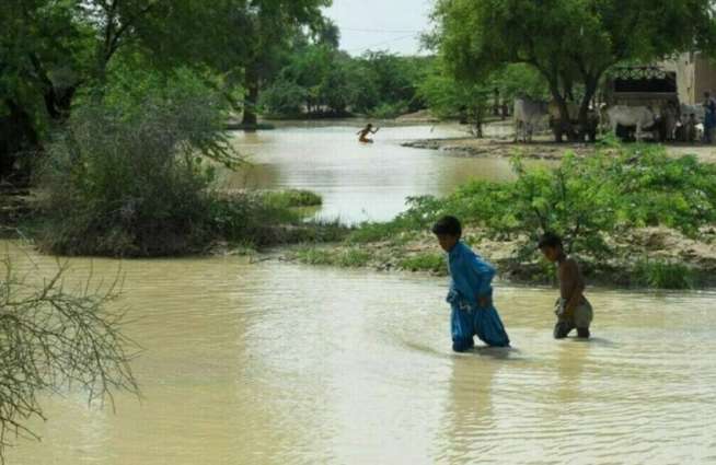 Punjab reports 49 deaths due to torrential rains
