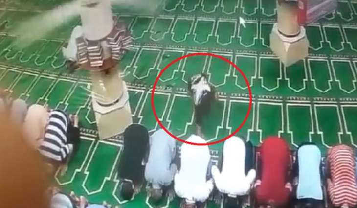 فیدیو : لص یسرق ھائف أحد المصلین داخل مسجد فی مصر
