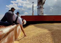 Nearly 2.5Mln Tonnes of Grain Left Ukraine Since July - Reports