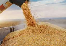 Nearly Half of Ukraine Grain Exported to Developed Countries - Joint Coordination Center