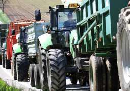 Czech Farmers to Protest Against EU Agrarian Policy Nationwide on September 15 - Official