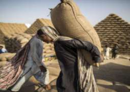Sindh govt releases wheat quota to flour Mills