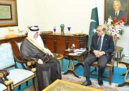 رئیس الوزراء یبحث مع السفیر السعودي تعزیز المزید من العلاقات الثنائیة
