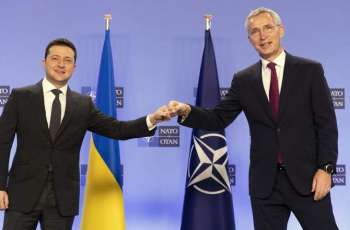NATO Chief on Zelenskyy's Application: Alliance to Focus on Helping Kiev