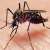 KDCA, UAF to enhance cooperation for prevention of dengue, malaria
