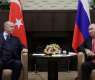 Putin, Erdogan Draw Attention to Need to Implement 'Food Deal' - Kremlin