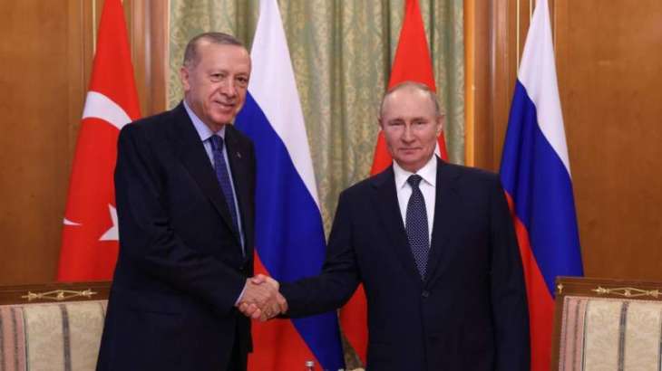 Erdogan, Putin Agree to Continue Construction of Akkuyu NPP as Planned - Erdogan's Office