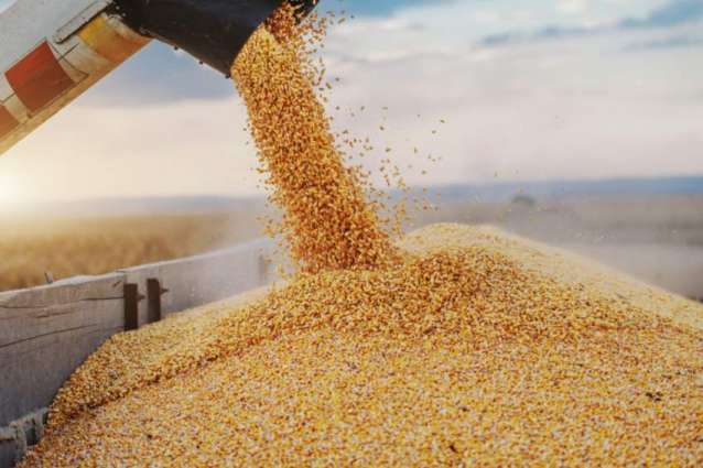 Nearly Half of Ukraine Grain Exported to Developed Countries - Joint Coordination Center