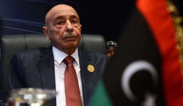 Qatari Foreign Minister, Libyan Parliament Speaker Discuss Clashes in Tripoli - Doha