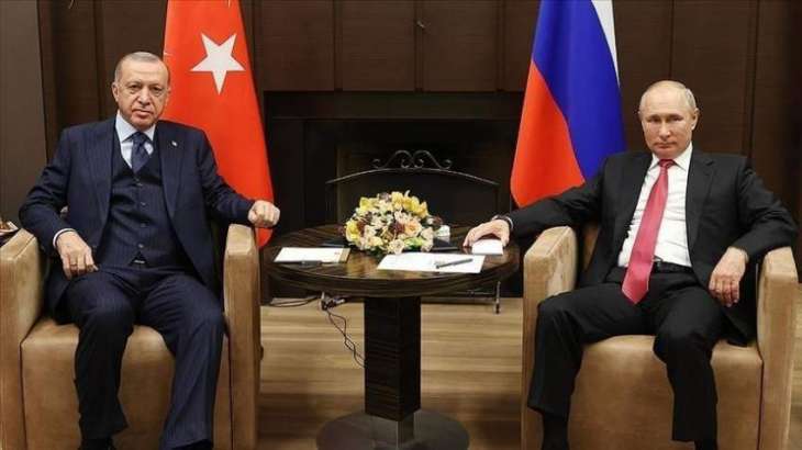 Erdogan to Ask Putin for 25% Discount on Gas - Reports