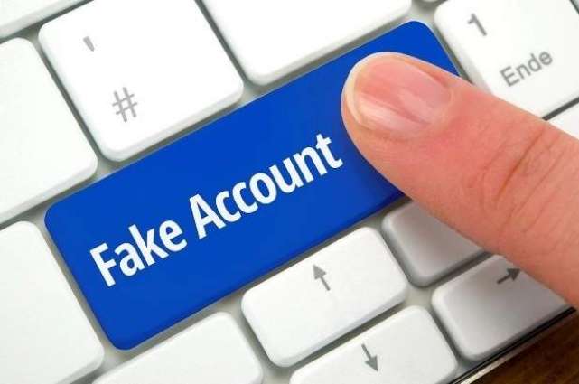 US Auditing Information Warfare Practices After Fake Online Accounts Removed - Reports