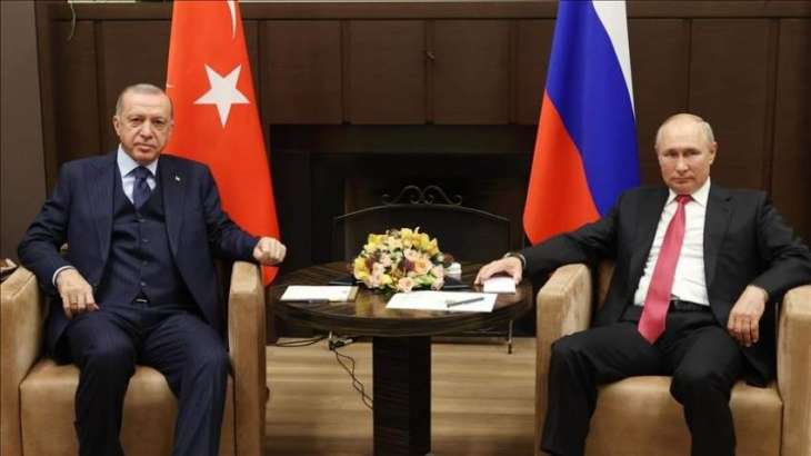 Putin Shares With Erdogan Assessment of Sabotage Against Nord Stream - Kremlin