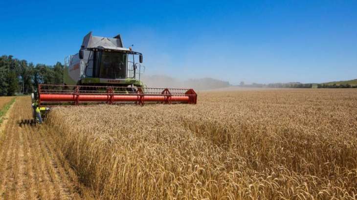 Agricultural Production in Ukraine to Drop by 25-40% in 2022 Due to Conflict - IMF