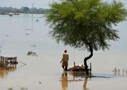 Pakistan, UN to jointly launch flash appeal in Geneva for flood victims today