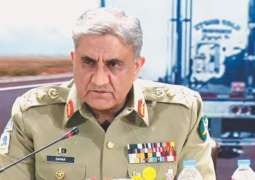 Effective diplomacy only possible through strong economy: COAS