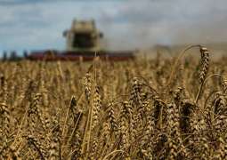 France No Longer Ukraine's Key Trading Partner in Farm Produce - Ukrainian Institute