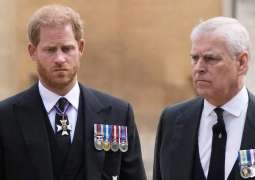 UK Parliament Questions Advisory Status of Princes Harry, Andrew - Reports