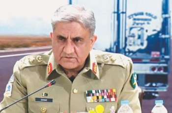 Effective diplomacy only possible through strong economy: COAS