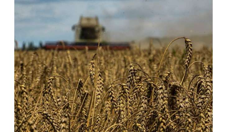 France No Longer Ukraine's Key Trading Partner in Farm Produce - Ukrainian Institute