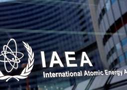 IAEA Report on Ukraine 'Incompetent,' Wide Open to Criticism - Russia's Rosenergoatom