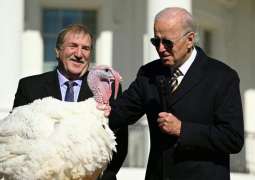 Biden Pardons 2 Turkeys Ahead of Thanksgiving Day Celebrations