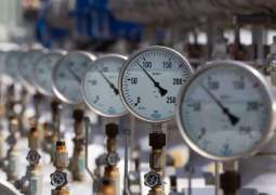 Gas Consumption in Germany Up 28% Week-on-Week Due to Colder Weather - Regulator