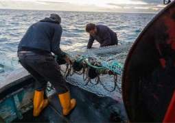 UK, Norway Grant Each Other Access to Fishing Waters for 2023 - Government