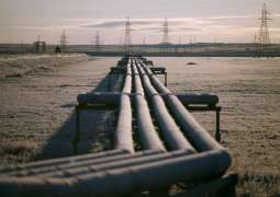 EU States Can Buy Russian Gas Separately From New Joint Purchase Mechanism - Commission