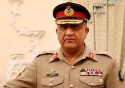 Army's positive role in National Security always received unwavering public support: COAS