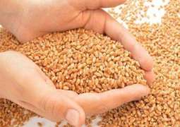 Egyptian Commodity Exchange Reports 18 Contracts on Russian Wheat on First Trading Day