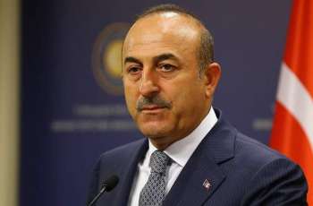 Turkey May Appoint Ambassador to Egypt in Coming Months - Foreign Minister