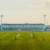 RWMC ensuring the cleanliness of Cricket stadium