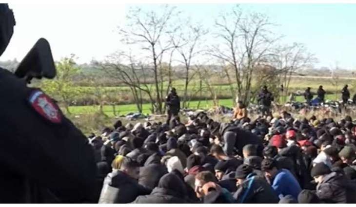 Serbian Police Detain 1,000 Illegal Migrants on Border With Hungary - Internal Ministry